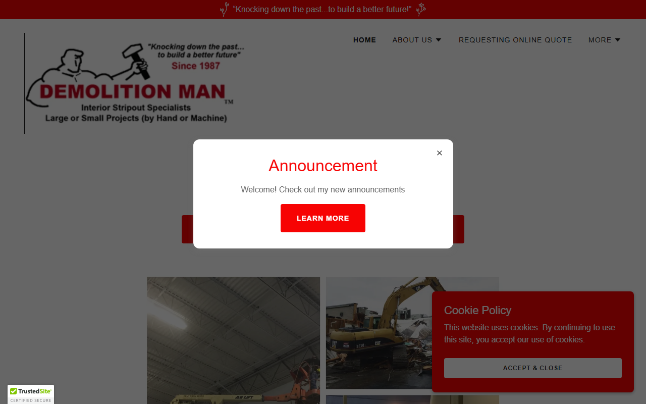1-800-demo-man.com screenshot