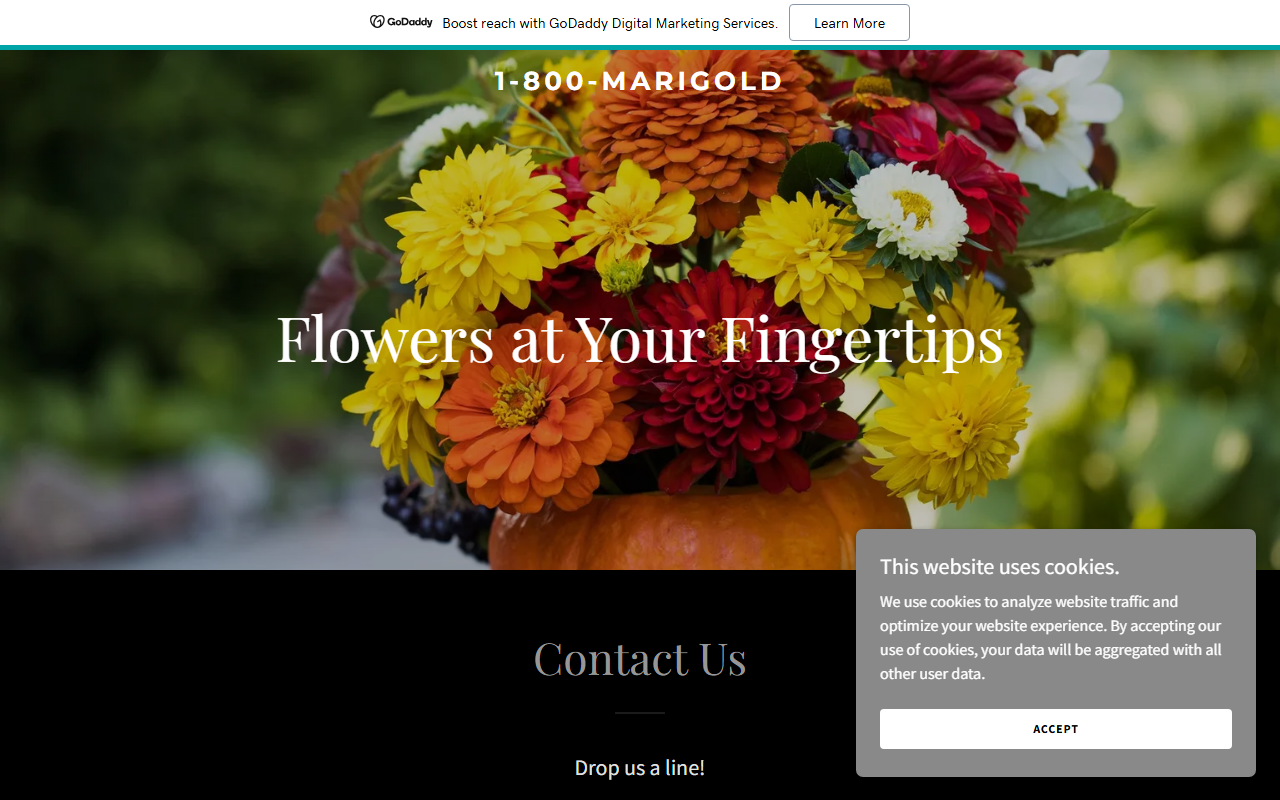 1-800-marigold.com screenshot