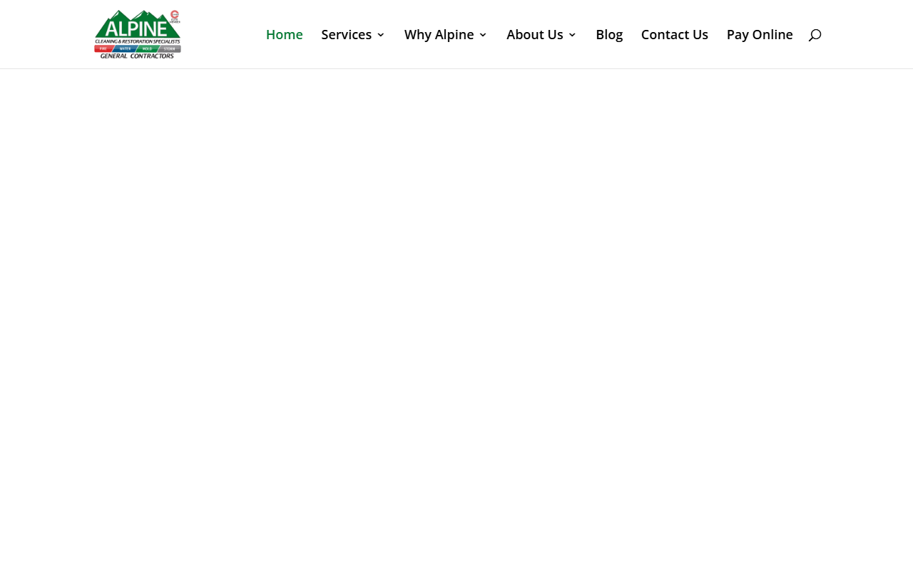 1-855-4alpine.com screenshot