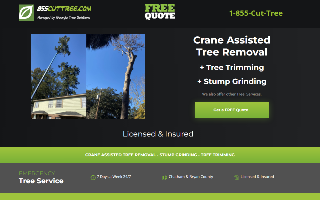 1-855-cut-tree.com screenshot