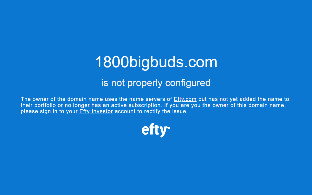 1800bigbuds.com screenshot