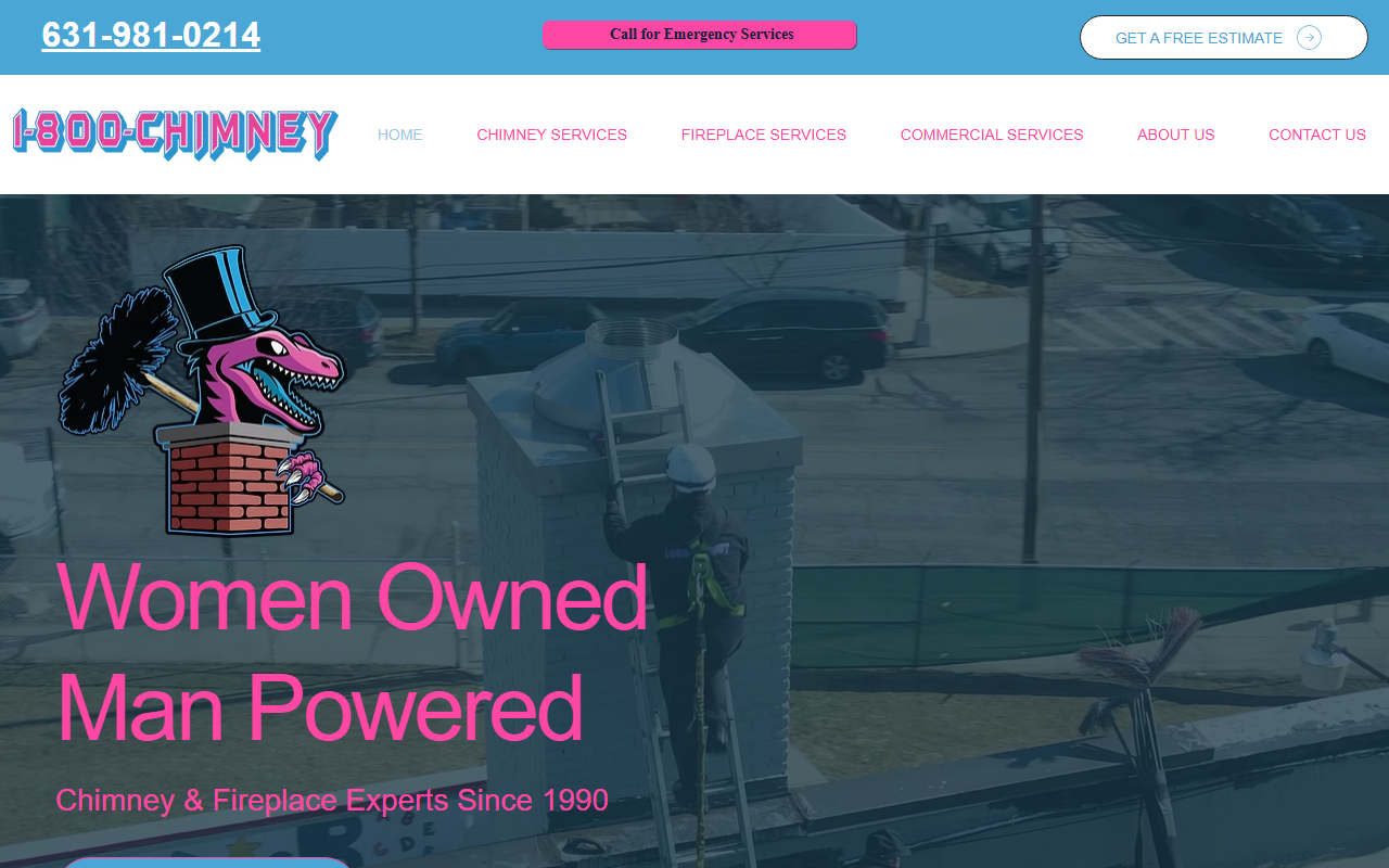 1800chimneyny.com screenshot