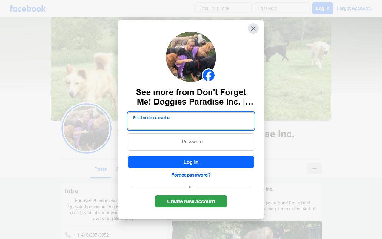 1800doggies.com screenshot