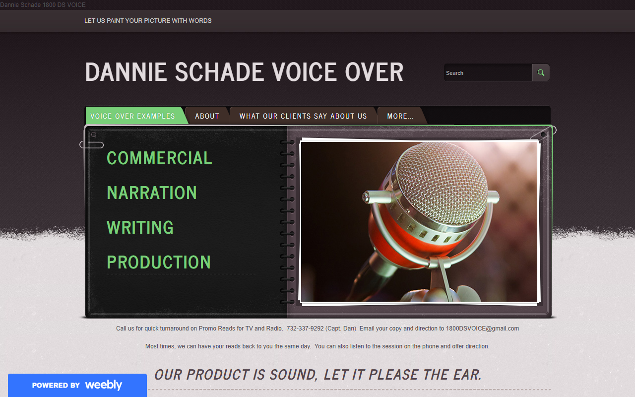 1800dsvoice.com screenshot
