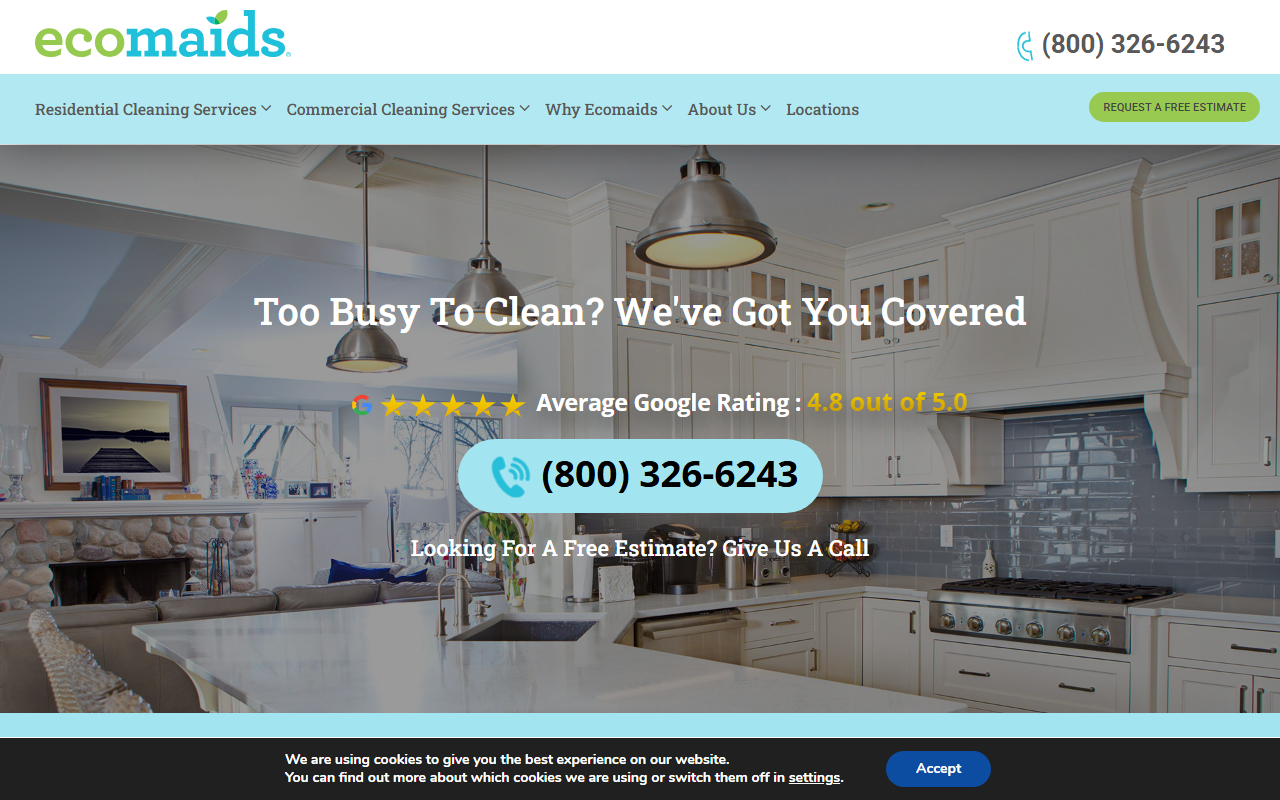 1800ecomaids.com screenshot