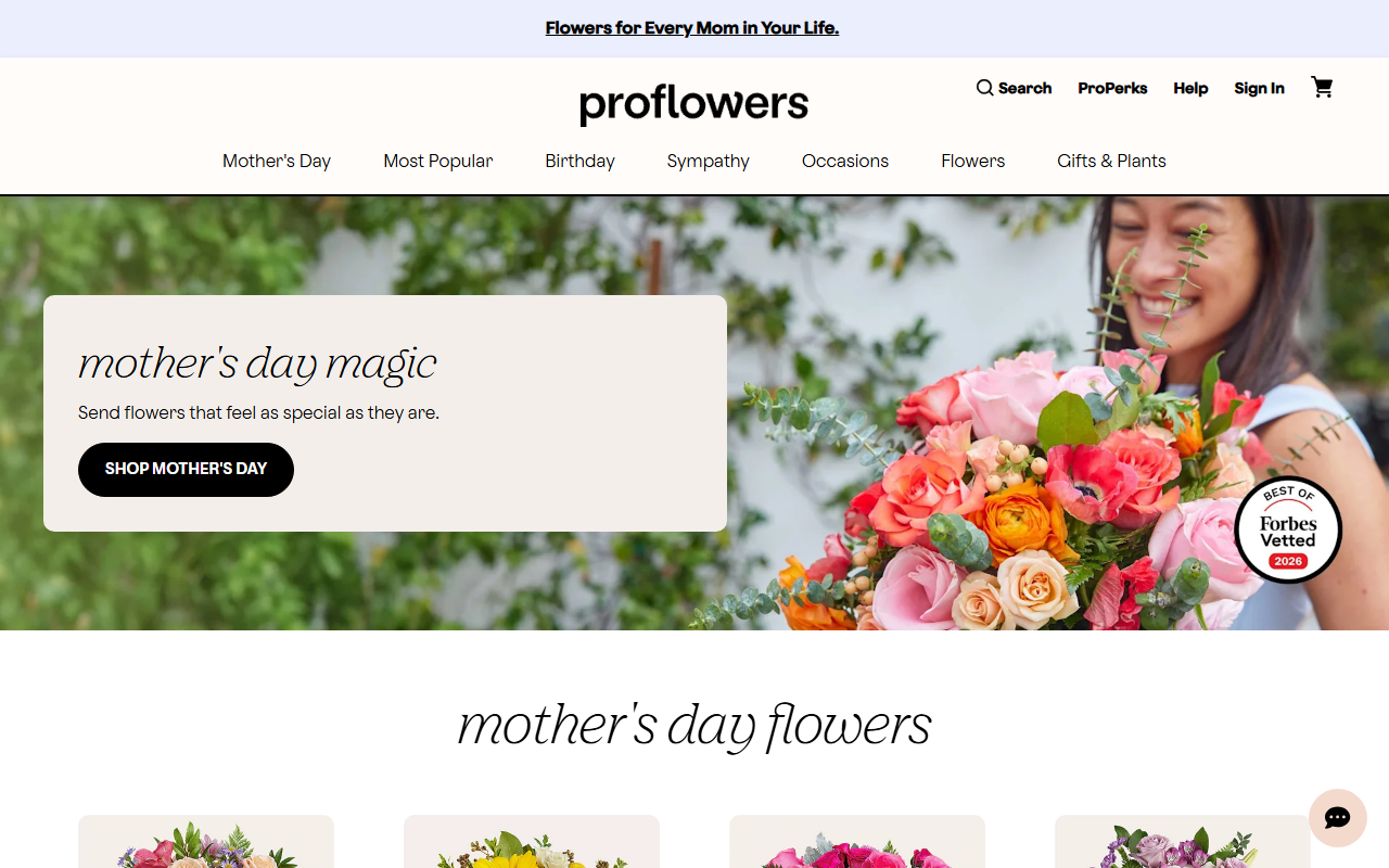 1800proflow.com screenshot