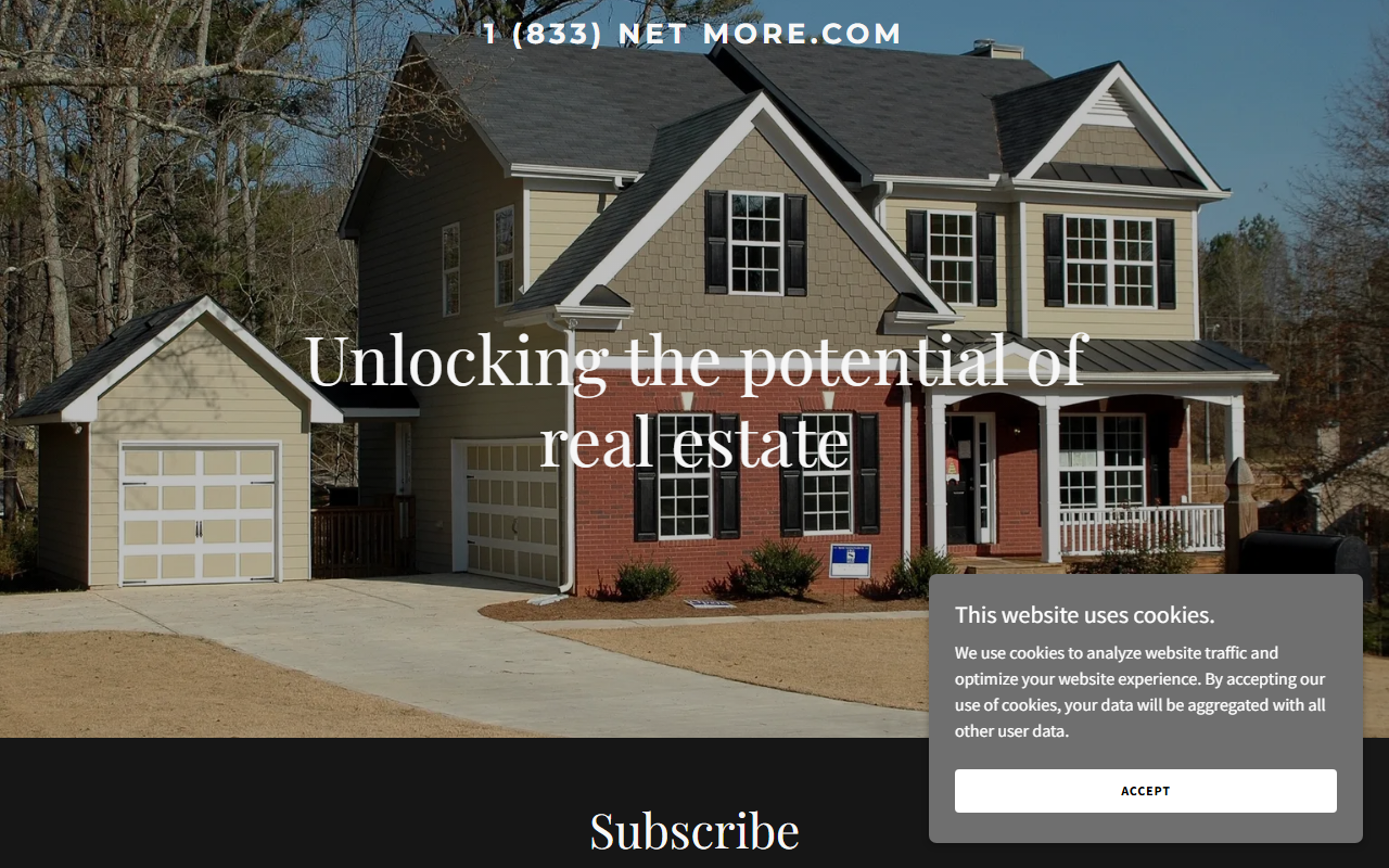 1833netmore.com screenshot