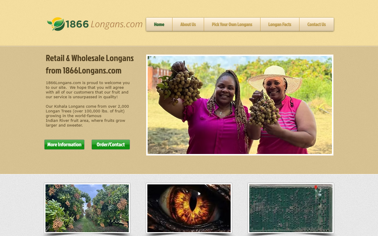 1866longans.com screenshot