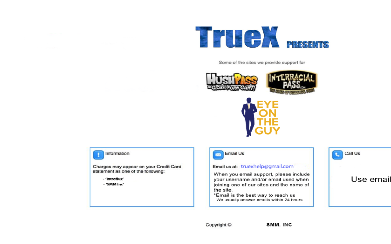 1866websupport.com screenshot