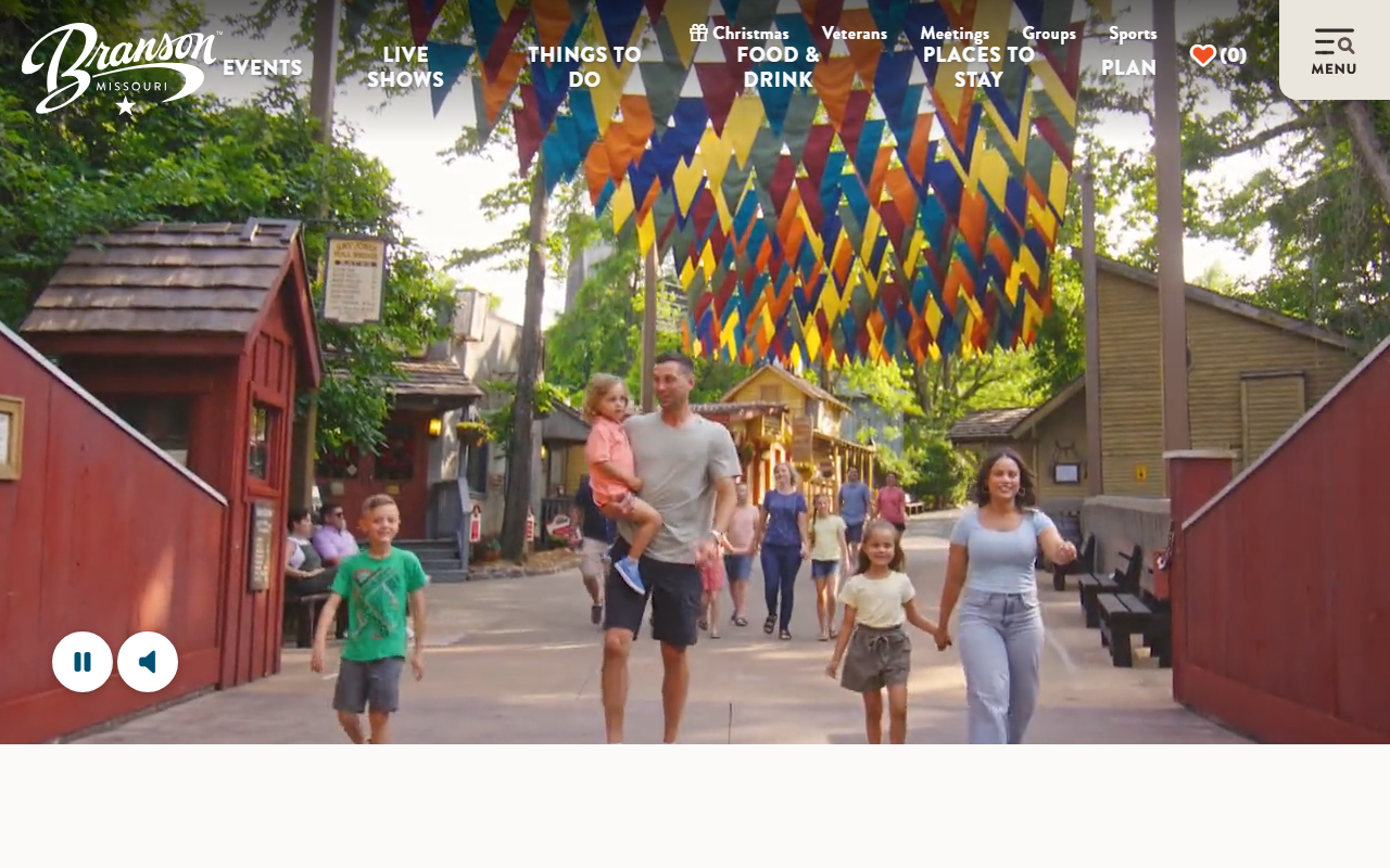 800-branson.com screenshot