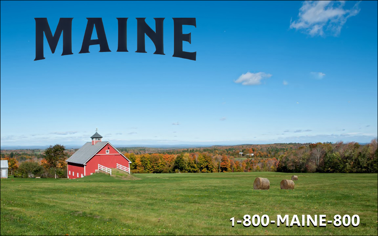 800-maine-800.com screenshot