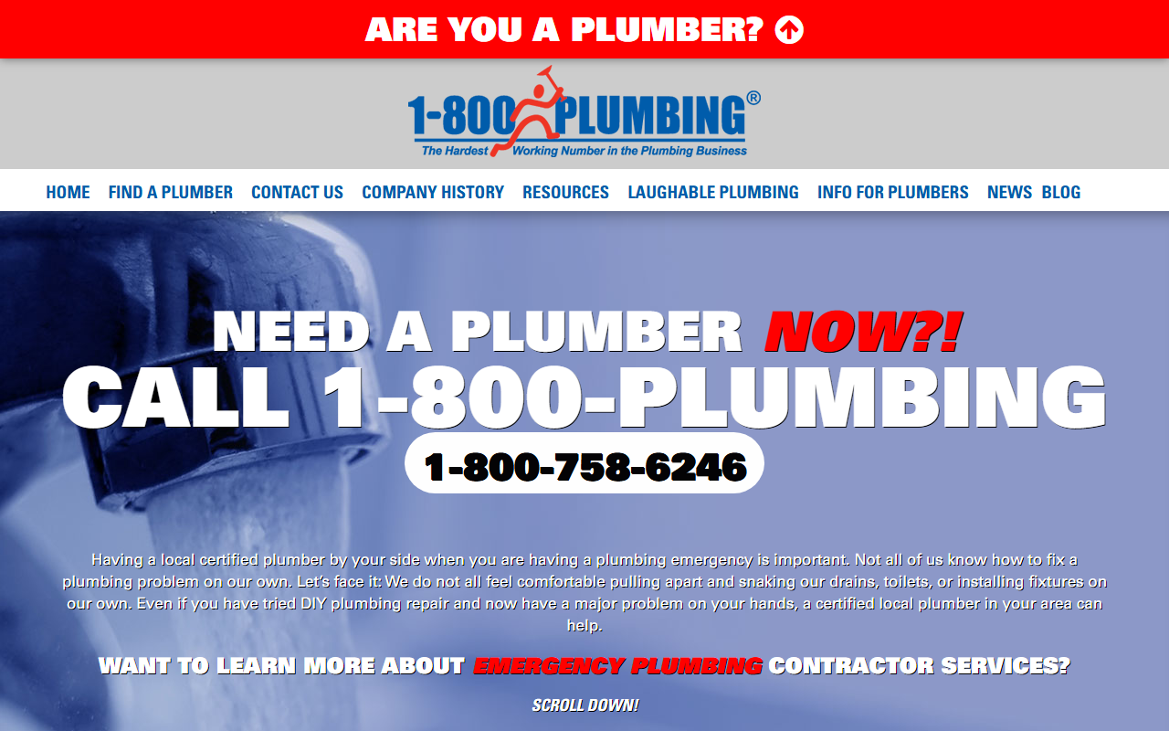 800-plumbing.com screenshot