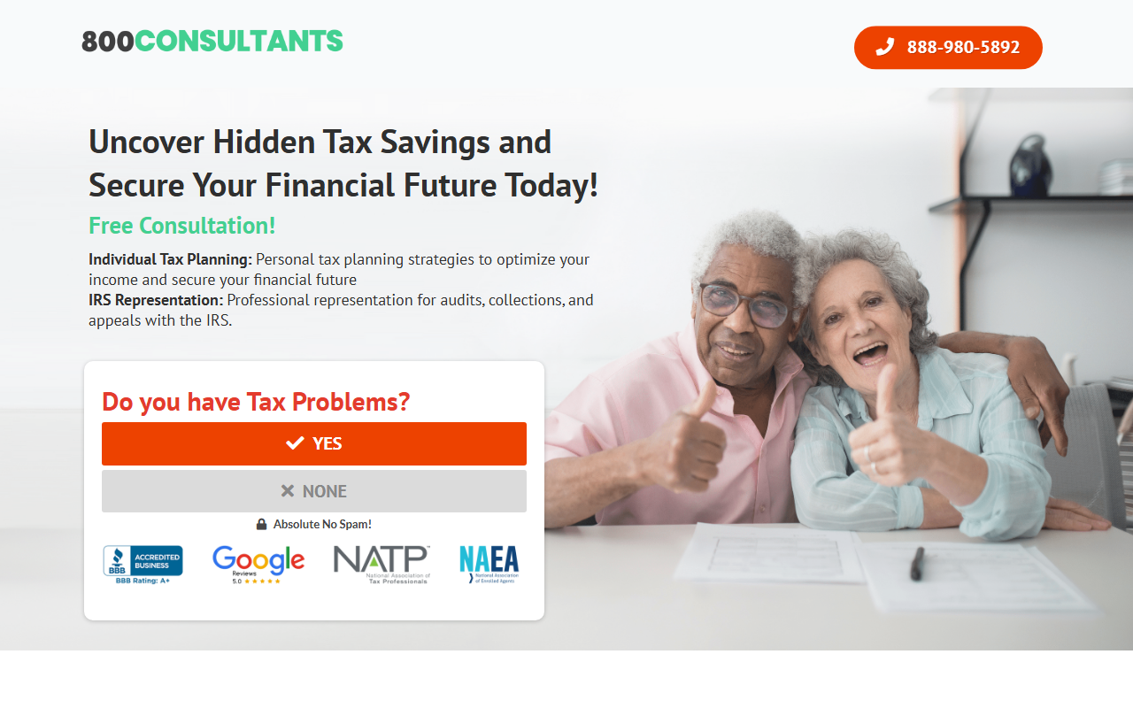 800consultants.com screenshot