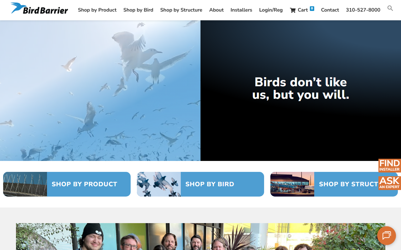 800nobirds.com screenshot
