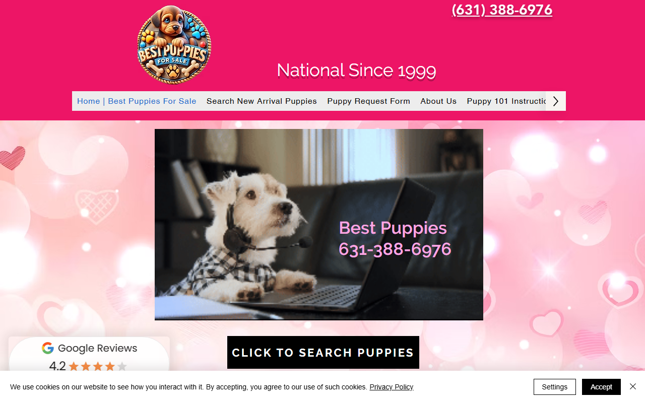 800puppies.com screenshot
