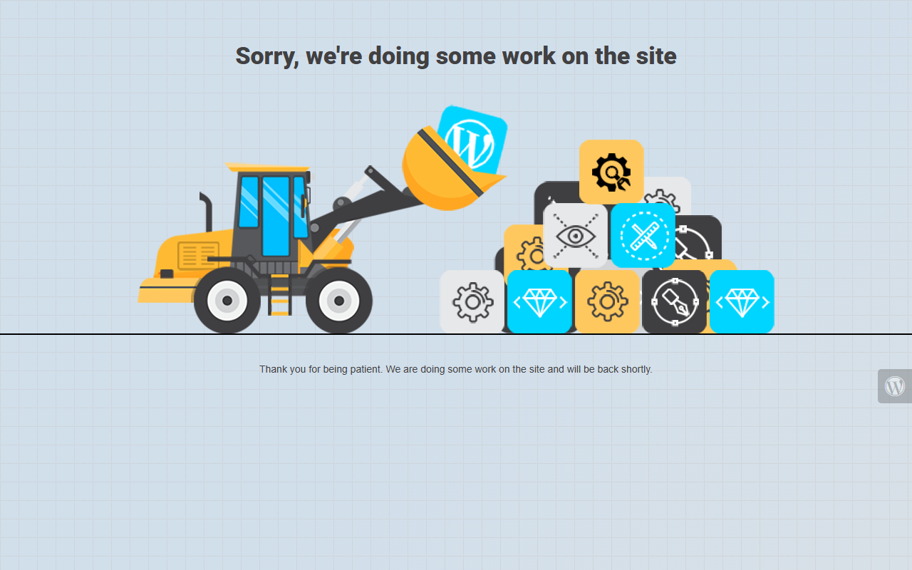 800seniors.com screenshot