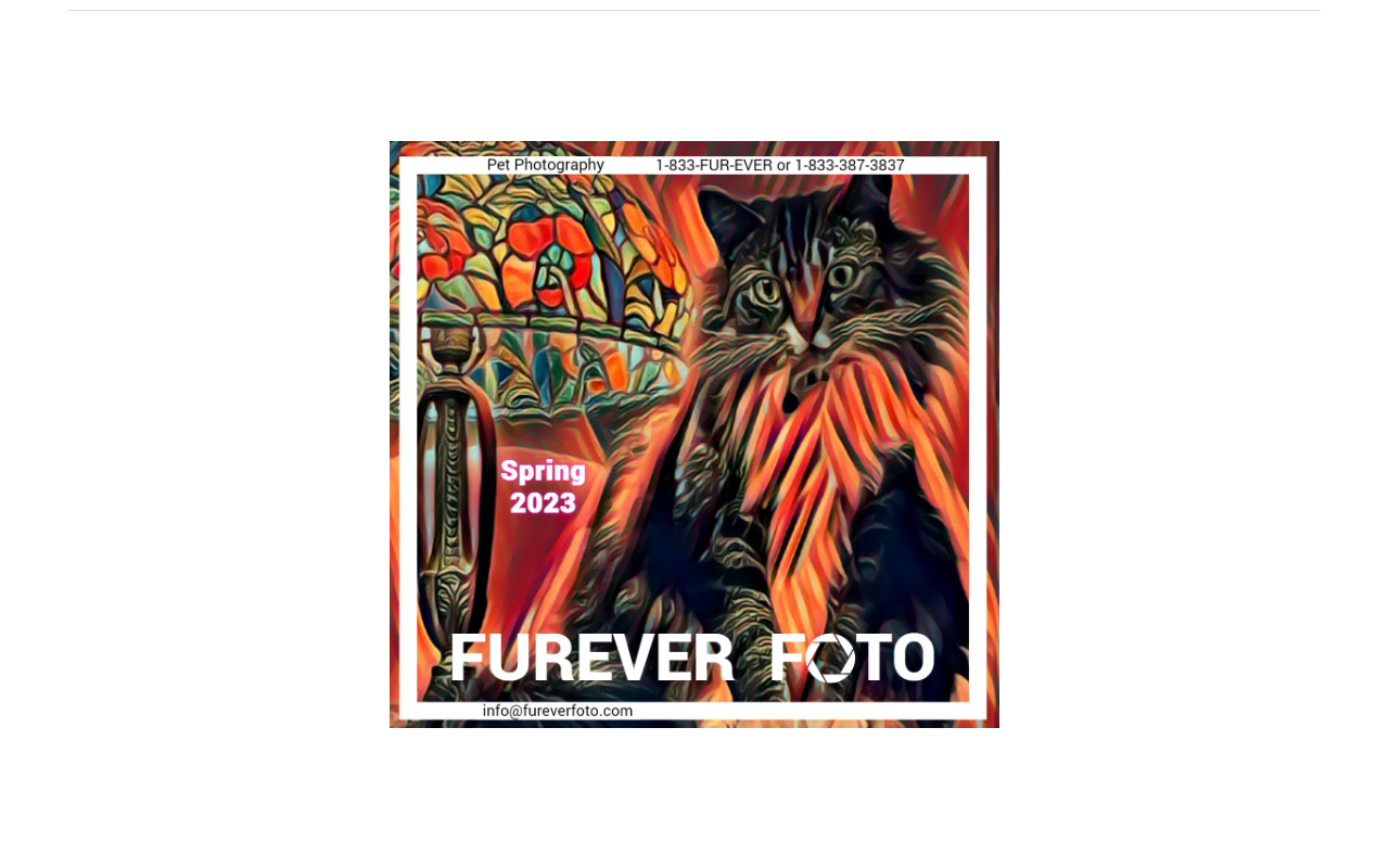 833furever.com screenshot