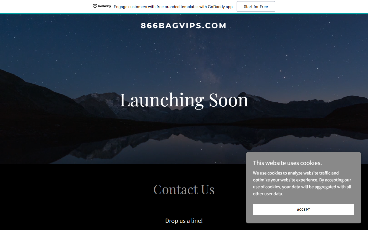 866bagvips.com screenshot