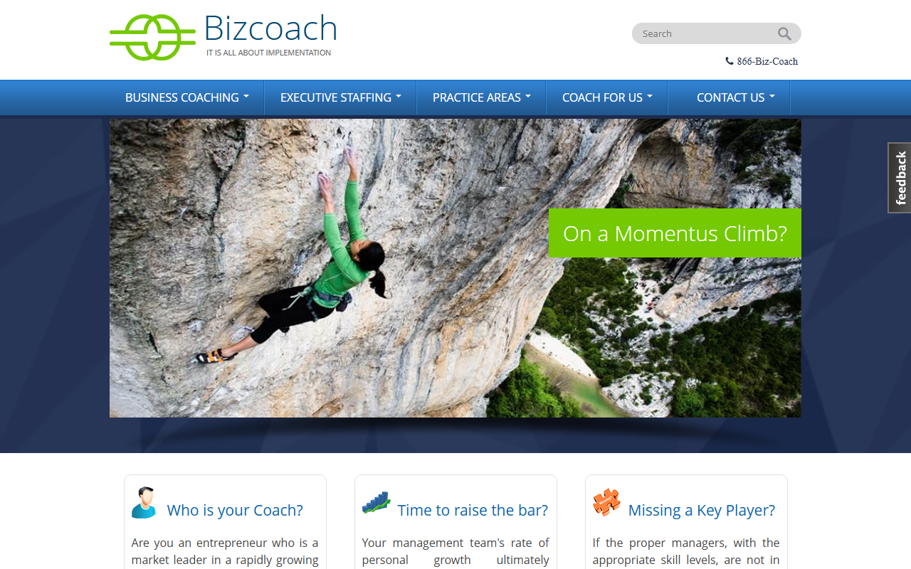 866bizcoach.com screenshot