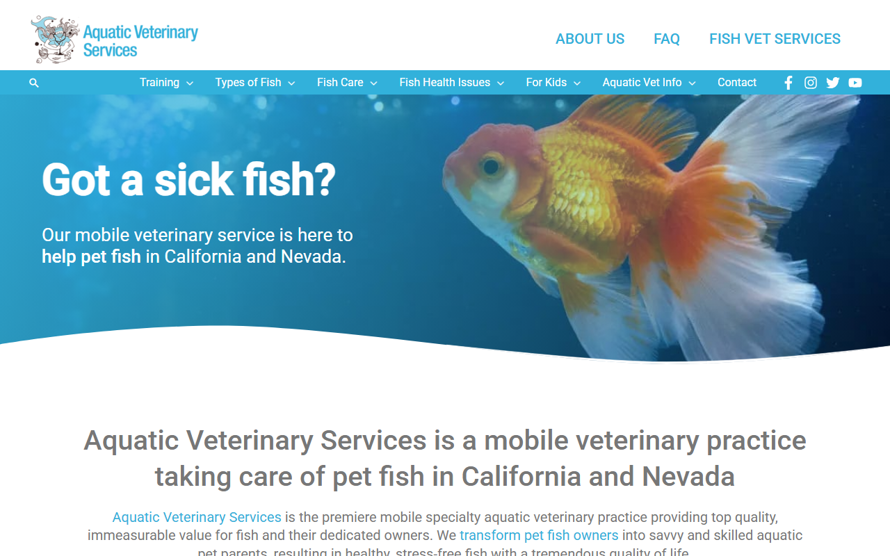 866fishvet.com screenshot