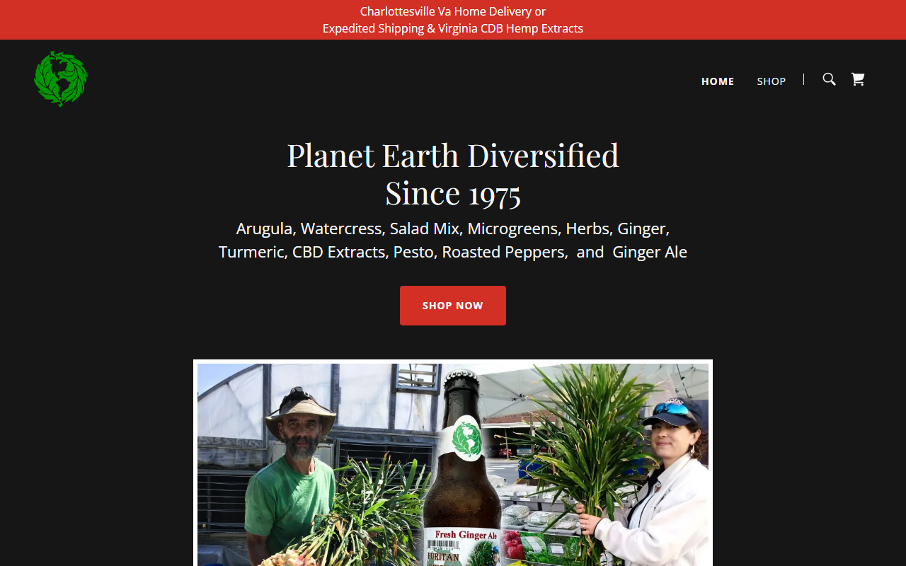877-arugula.com screenshot