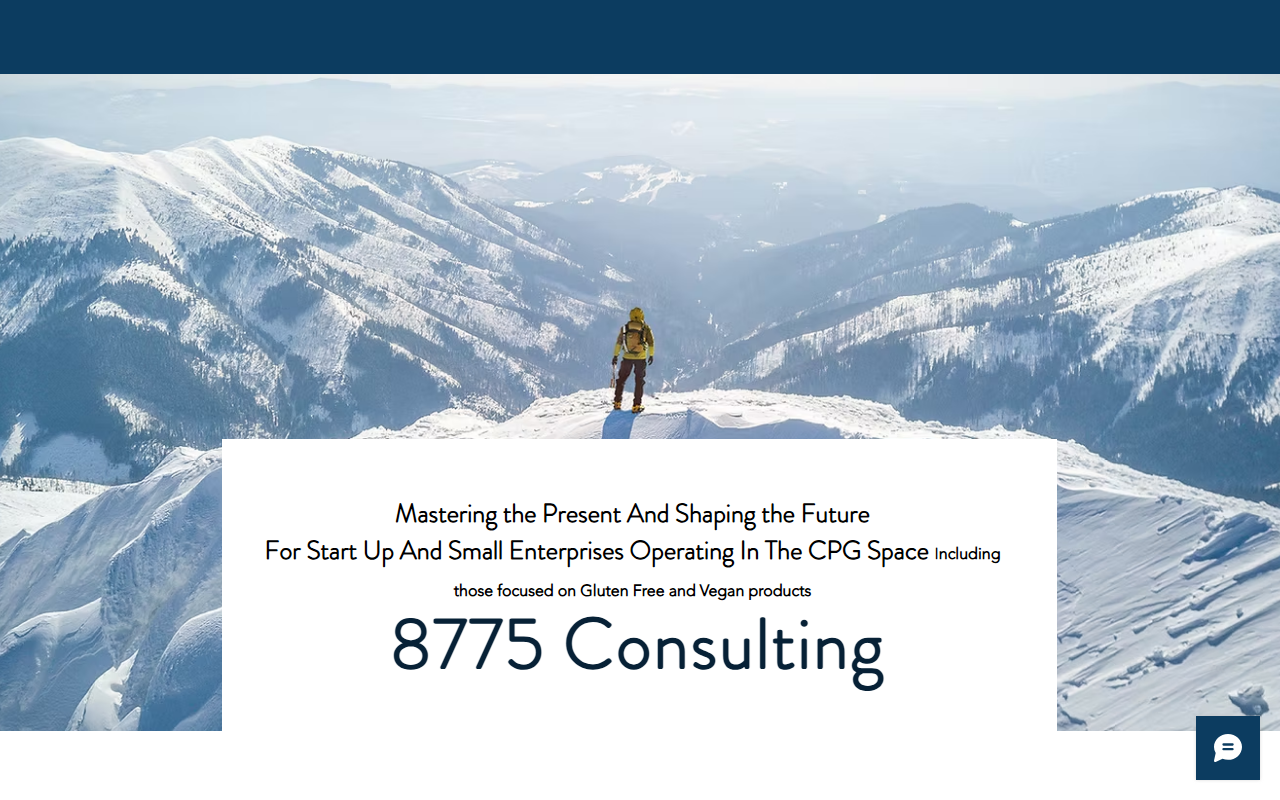 8775consulting.com screenshot