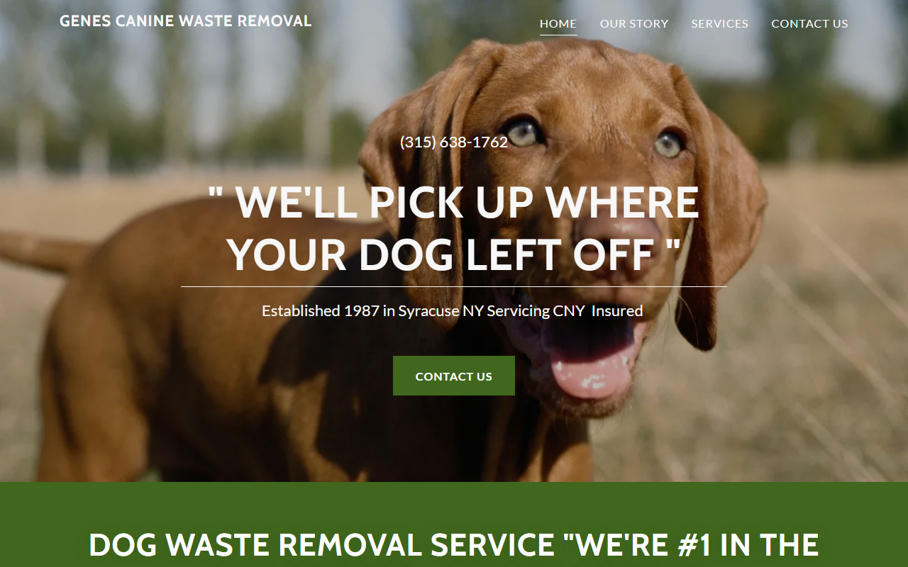 877dogdodo.com screenshot