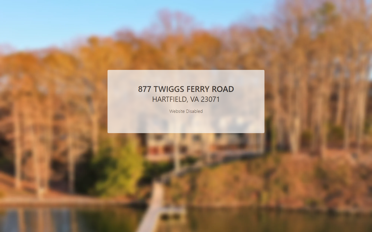 877twiggsferry.com screenshot