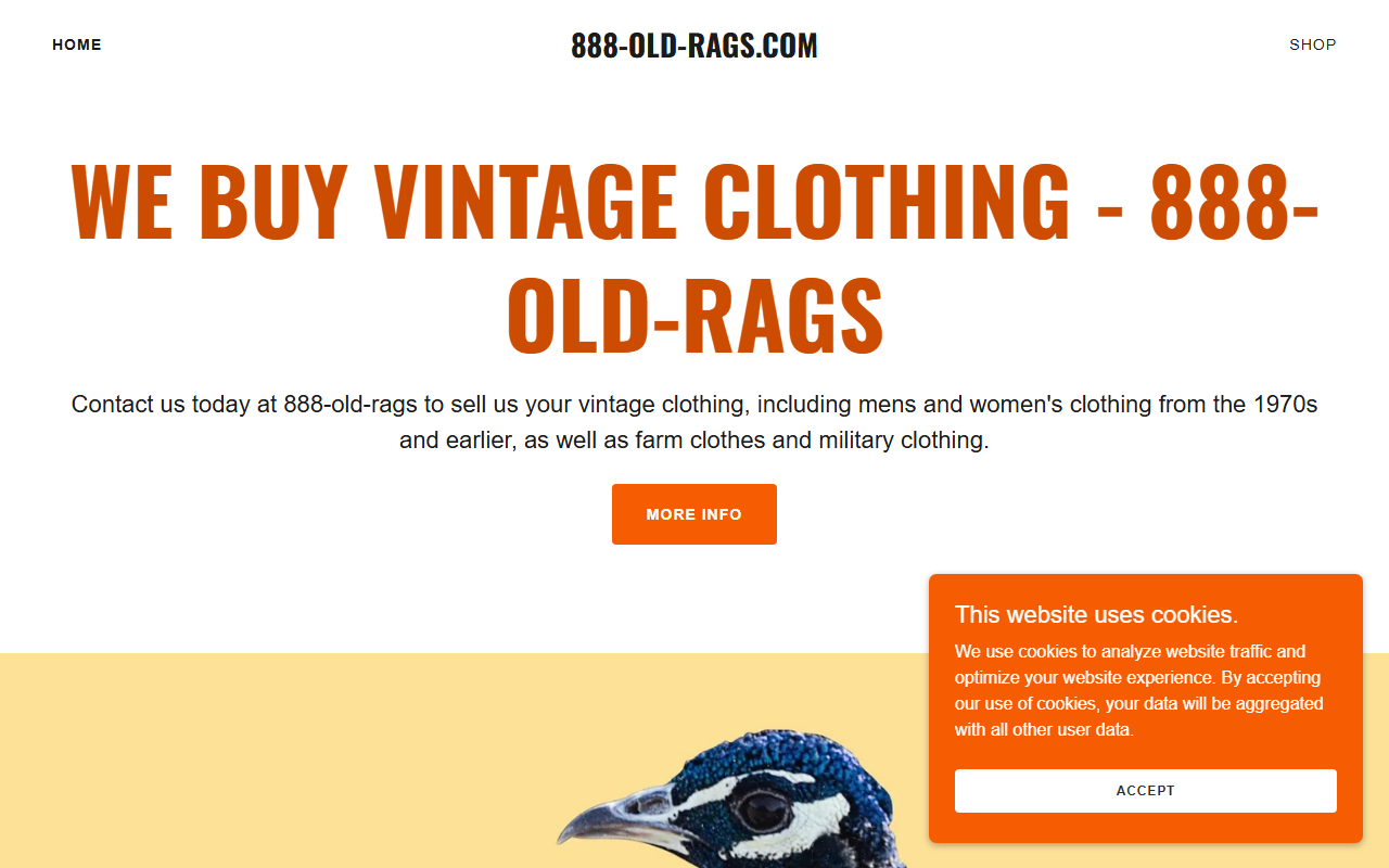 888-old-rags.com screenshot