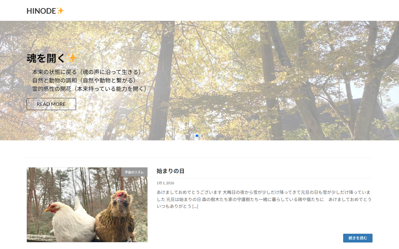 8888hinode.com screenshot