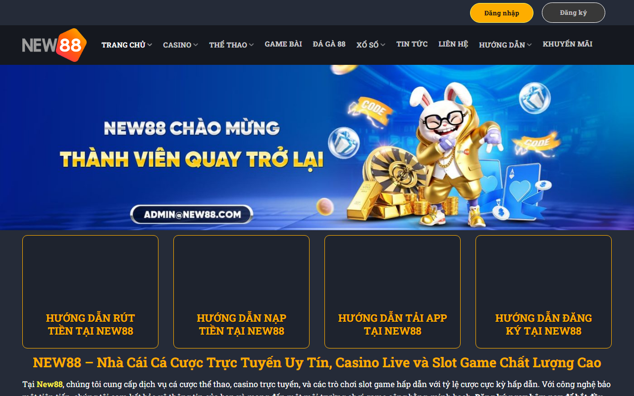 88895storm.com screenshot