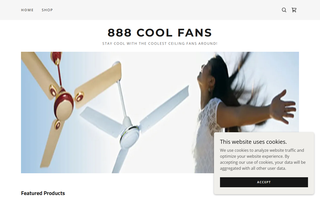 888coolfans.com screenshot