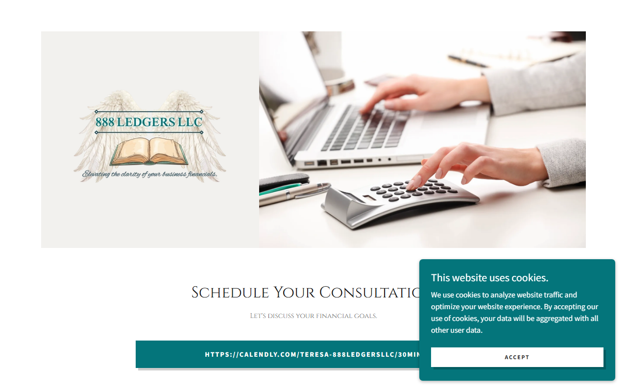888ledgersllc.com screenshot